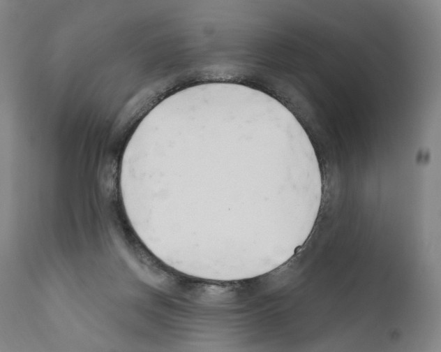 X0000110900166200907301614