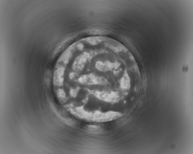 X0000110900167200907301614