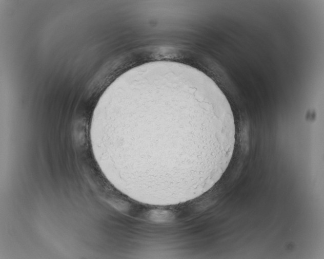 X0000110900169200907301614