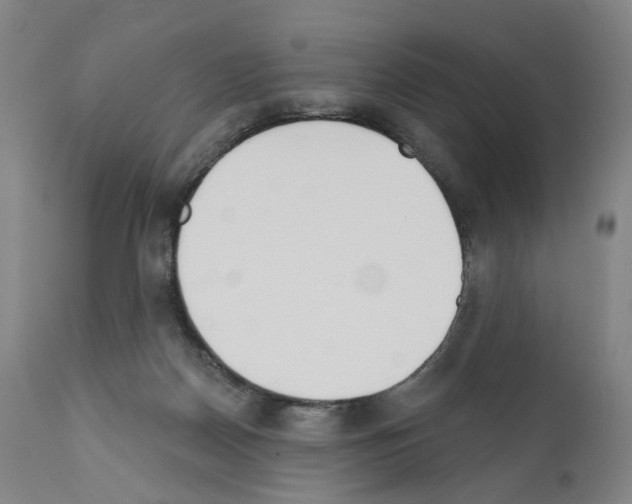 X0000110900170200907301614