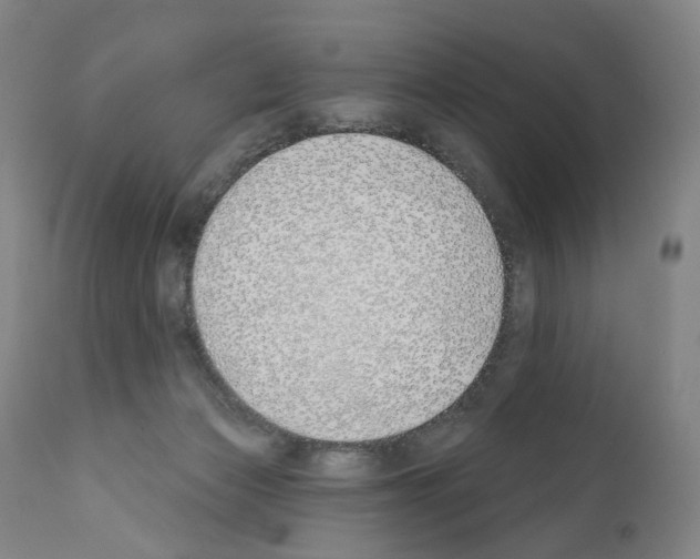 X0000110900173200907301614