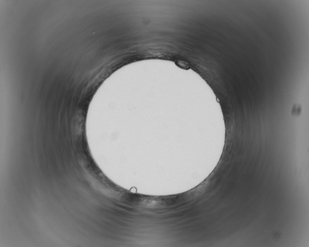 X0000110900174200907301614