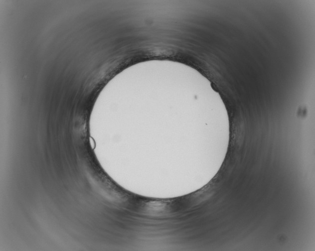 X0000110900176200907301614