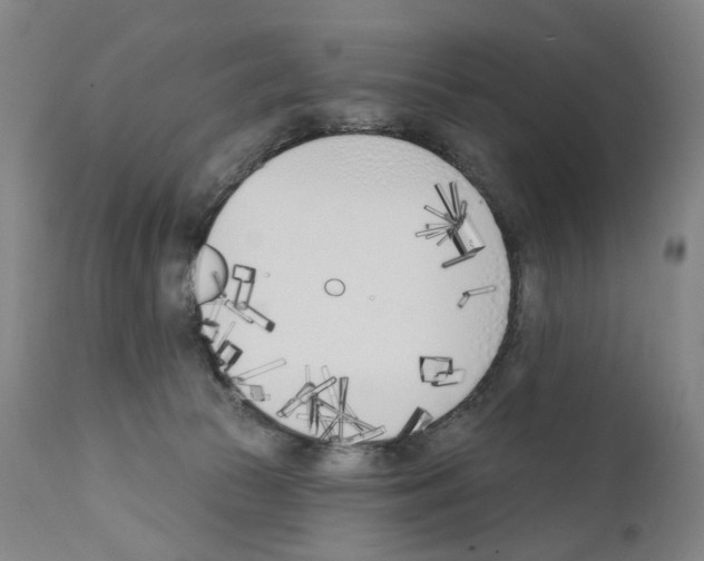 X0000110900177200907301615