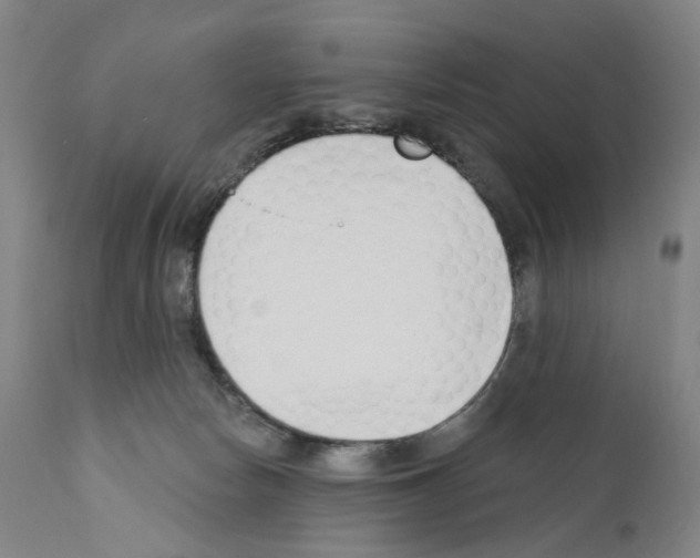 X0000110900178200907301615