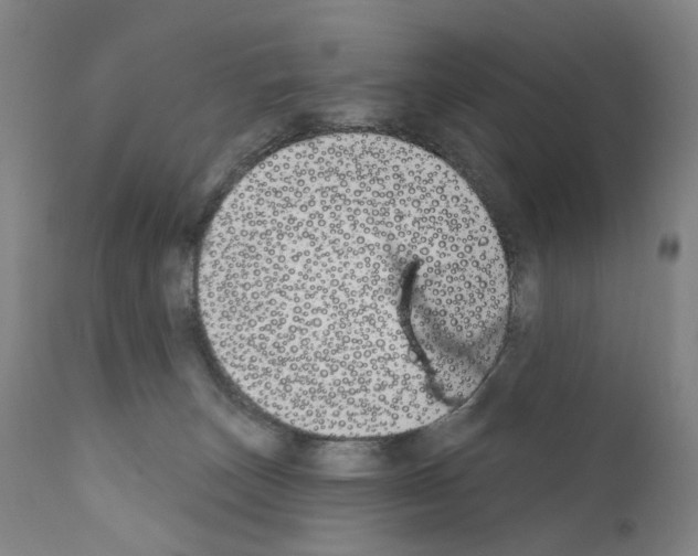 X0000110900179200907301615