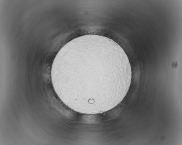 X0000110900181200907301615