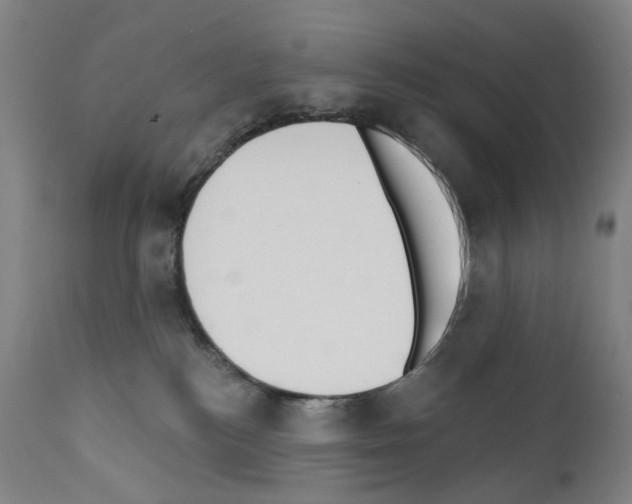 X0000110900184200907301615