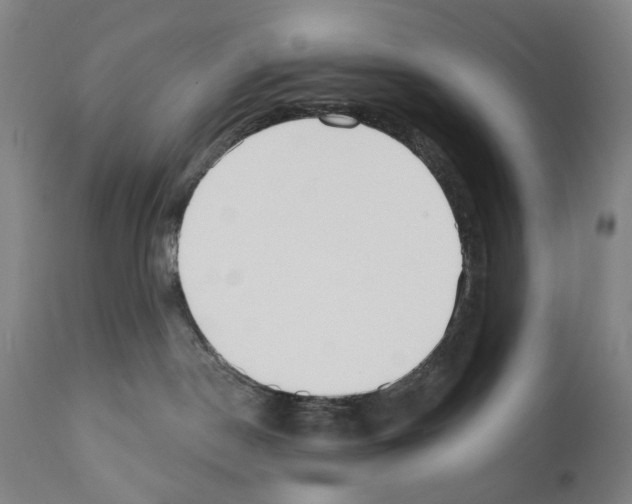 X0000110900190200907301615