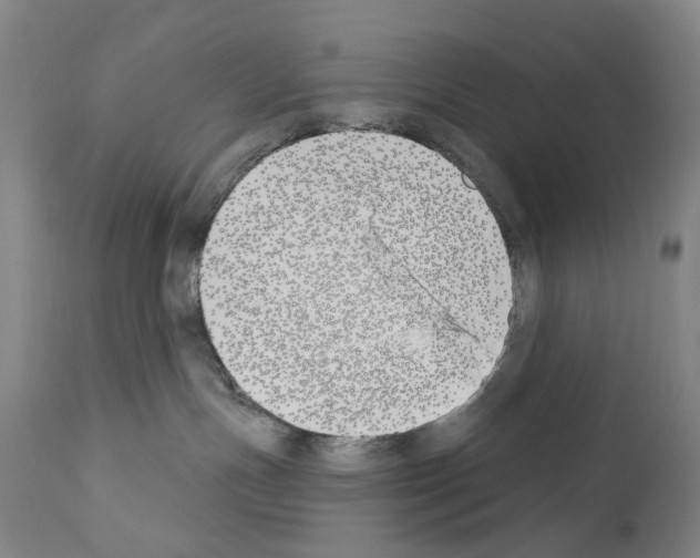 X0000110900191200907301615