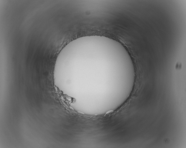 X0000110900192200907301615