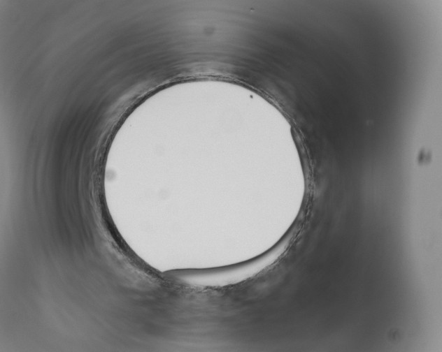 X0000110900193200907301614