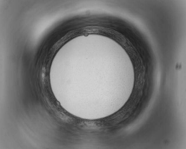 X0000110900194200907301614