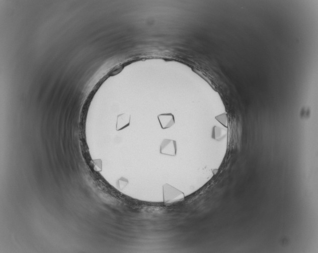 X0000110900195200907301614