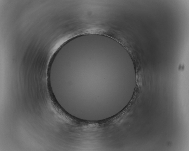 X0000110900196200907301614