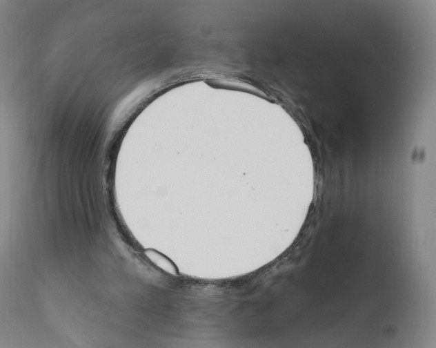 X0000110900197200907301614