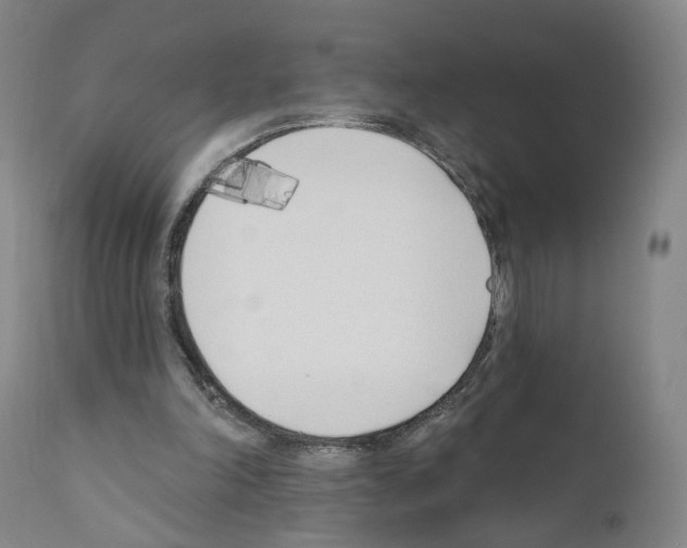 X0000110900198200907301614