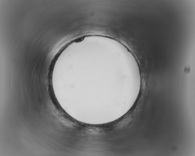 X0000110900199200907301614