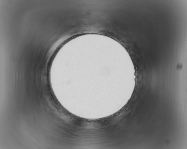 X0000110900200200907301614