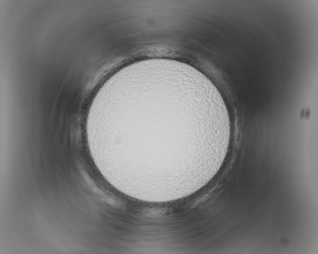 X0000110900202200907301614