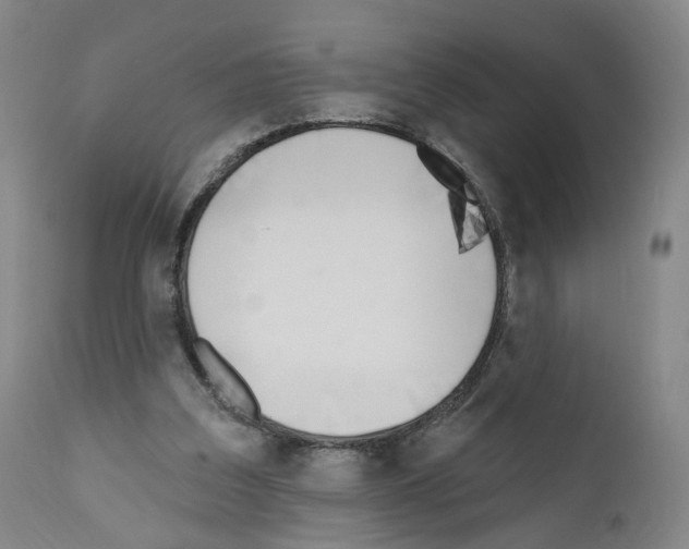 X0000110900203200907301614