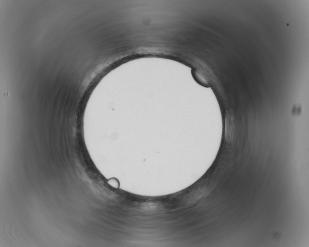 X0000110900204200907301614