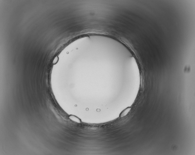 X0000110900205200907301614