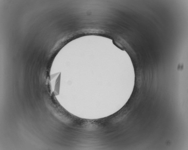 X0000110900207200907301614