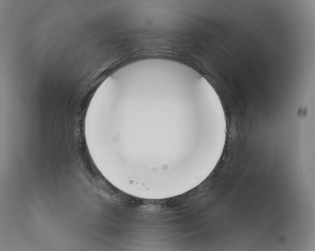 X0000110900211200907301614