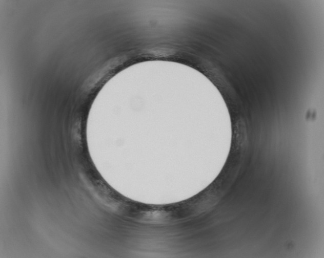 X0000110900212200907301614