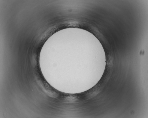 X0000110900213200907301614