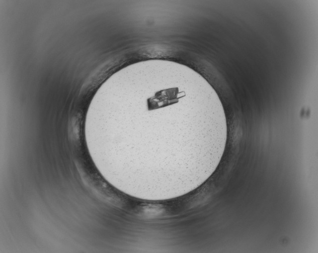 X0000110900214200907301614