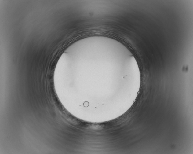 X0000110900217200907301614