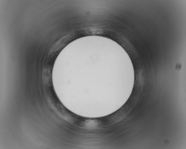 X0000110900218200907301614