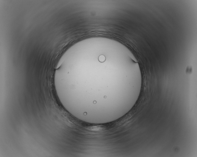 X0000110900219200907301614