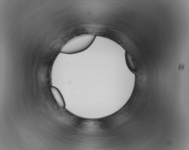 X0000110900221200907301614