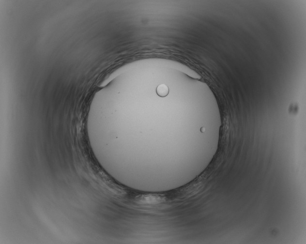 X0000110900223200907301614