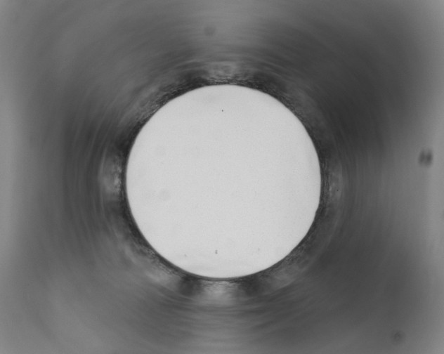 X0000110900226200907301614