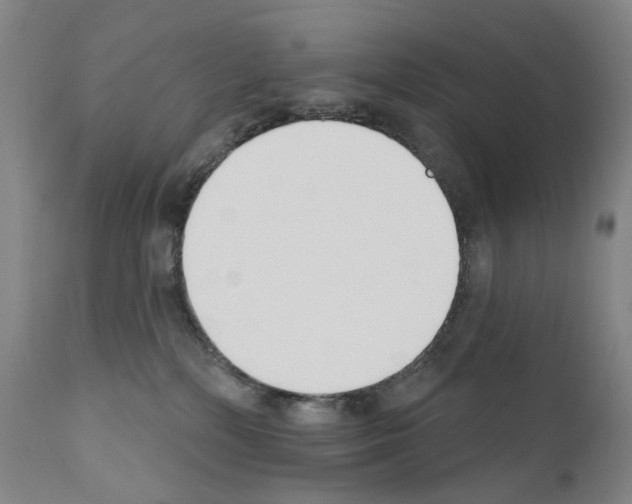 X0000110900232200907301614