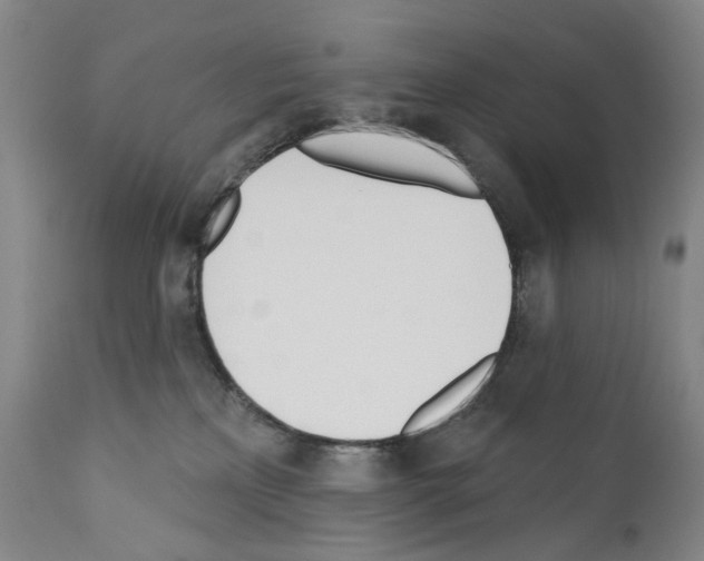 X0000110900233200907301613