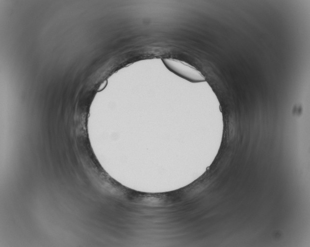 X0000110900236200907301613