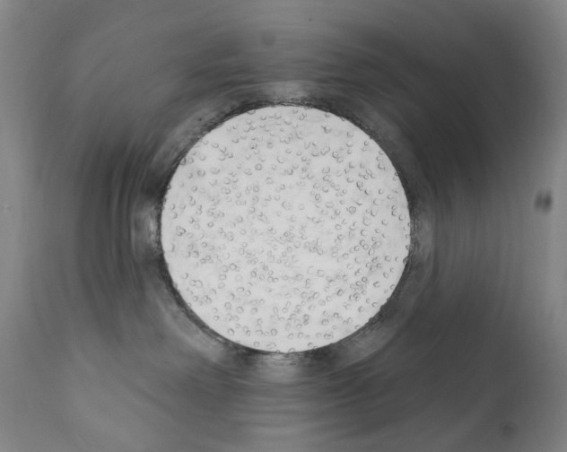 X0000110900238200907301613