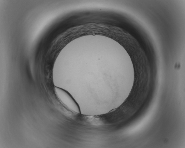 X0000110900239200907301613