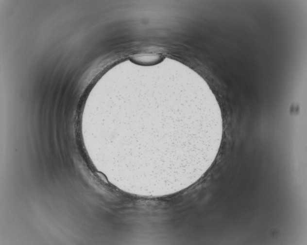 X0000110900242200907301613