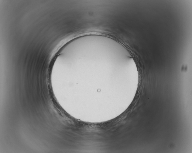 X0000110900244200907301613