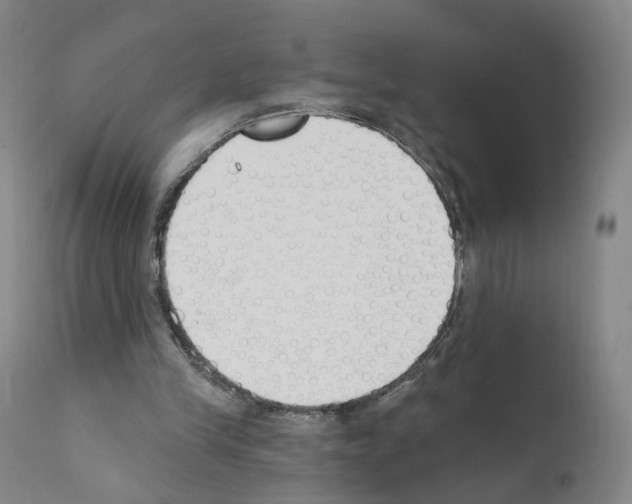 X0000110900245200907301613