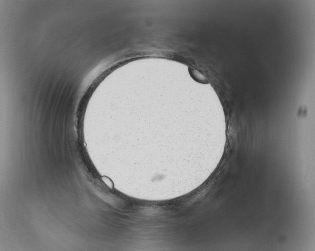 X0000110900246200907301613