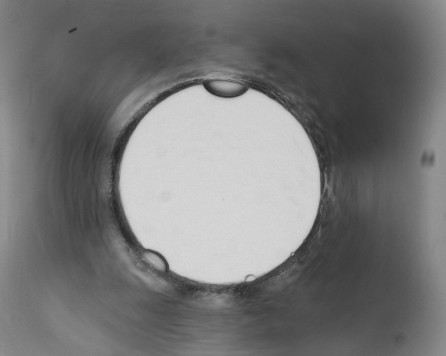 X0000110900247200907301613