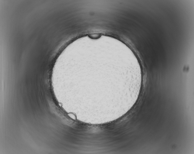 X0000110900249200907301613