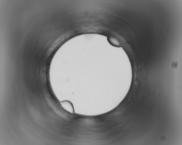 X0000110900250200907301613